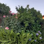Holiday home La Celestina Candeleda