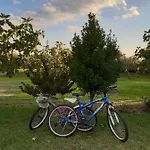 La Celestina Holiday home Candeleda