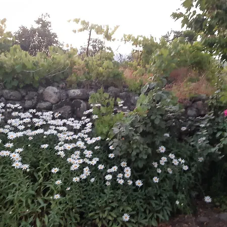 펜션 La Celestina 칸델레다