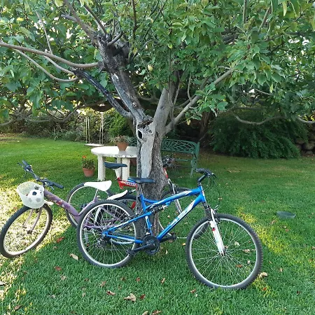 La Celestina Casa vacanze Candeleda