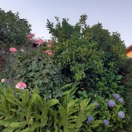 Casa de Férias La Celestina Candeleda