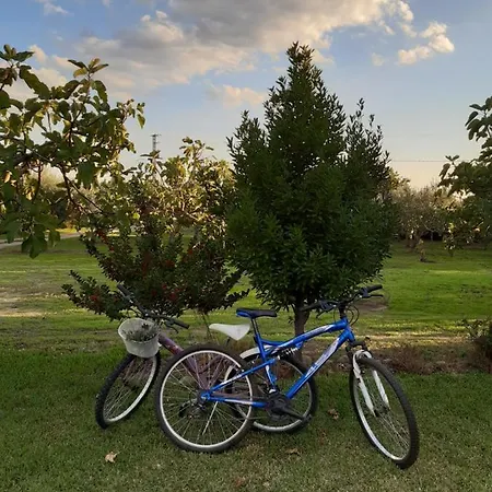 La Celestina Holiday home Candeleda