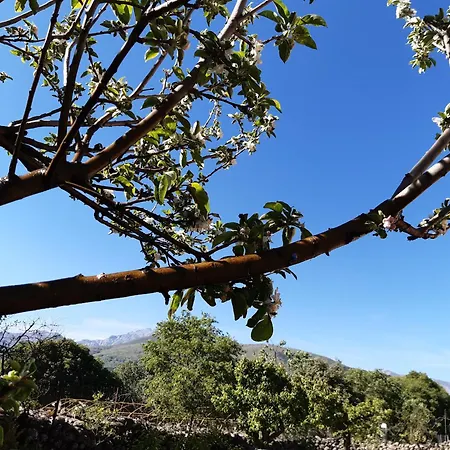 Holiday home La Celestina Candeleda