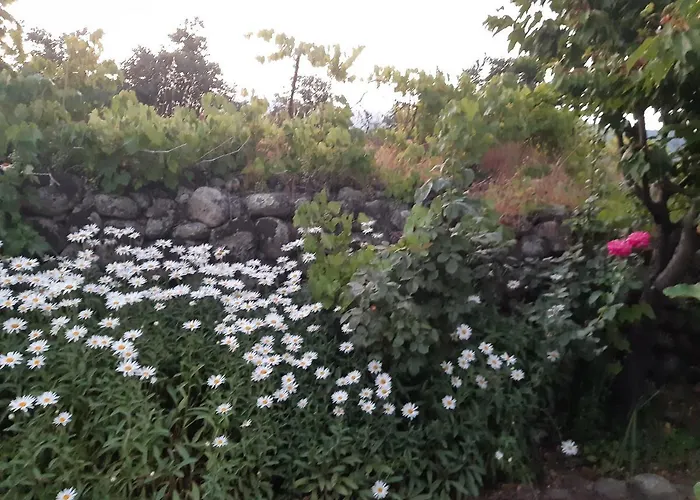 Hébergement de vacances La Celestina Candeleda
