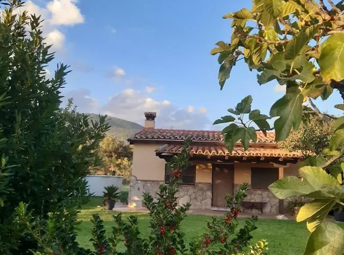 La Celestina * 칸델레다