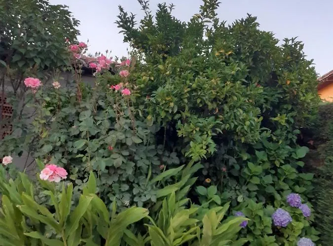 펜션 La Celestina 칸델레다