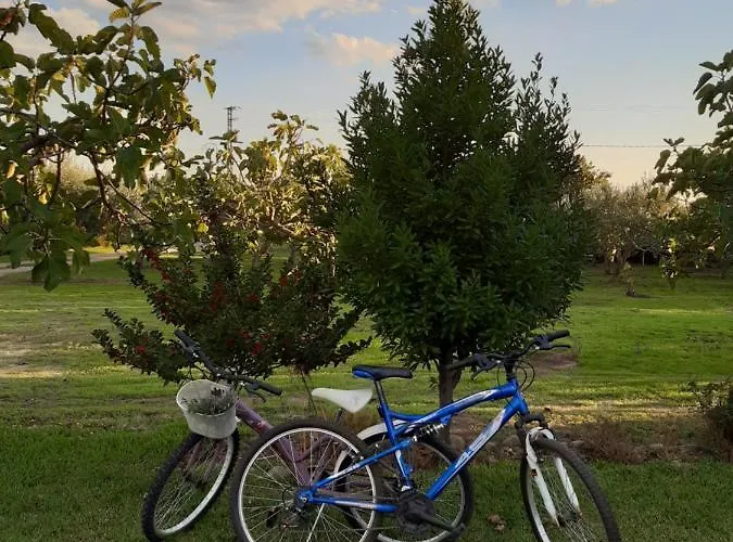 La Celestina Holiday home Candeleda