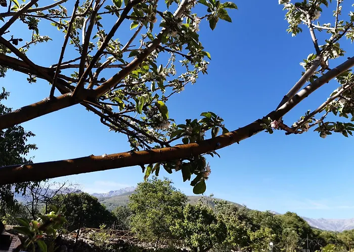 펜션 La Celestina 칸델레다